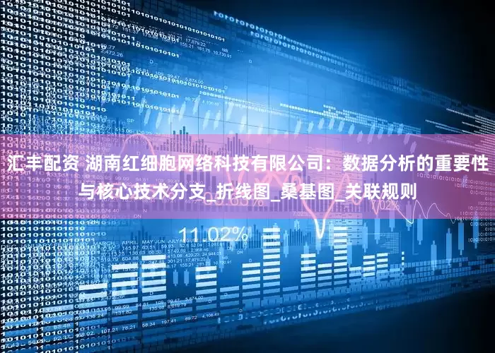 汇丰配资 湖南红细胞网络科技有限公司：数据分析的重要性与核心技术分支_折线图_桑基图_关联规则