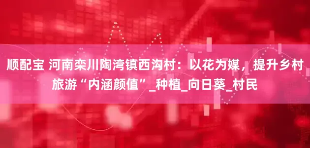 顺配宝 河南栾川陶湾镇西沟村：以花为媒，提升乡村旅游“内涵颜值”_种植_向日葵_村民