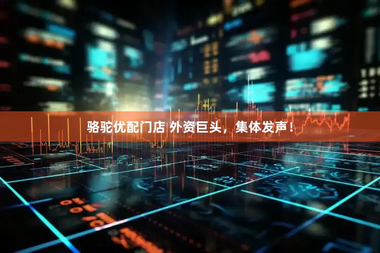 骆驼优配门店 外资巨头，集体发声！