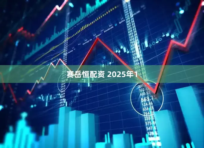 赛岳恒配资 2025年1