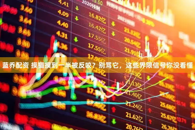 蓝乔配资 摸猫摸到一半被反咬？别骂它，这些界限信号你没看懂